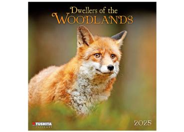 Broschürenkalender 2025, 30 x 60cm, "Woodlands" -ab ca.19.06.2024-