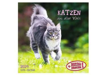 Broschürenkalender 2024, 30 x 60cm, " Katzen"  - ab ca.15.06.2023-