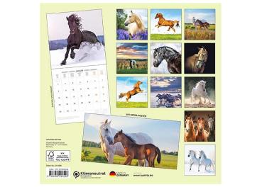 Broschürenkalender 2025, 30 x 60cm, "Pferde" 