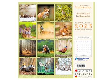 Broschürenkalender 2025, 30 x 60cm, "Woodlands" 