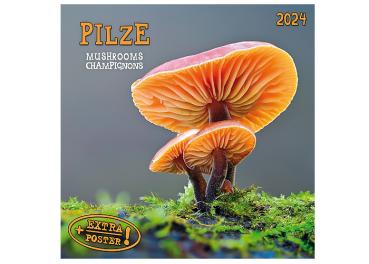 Broschürenkalender 2024, 30x60cm "Pilze" -ab ca.15.06.2023-