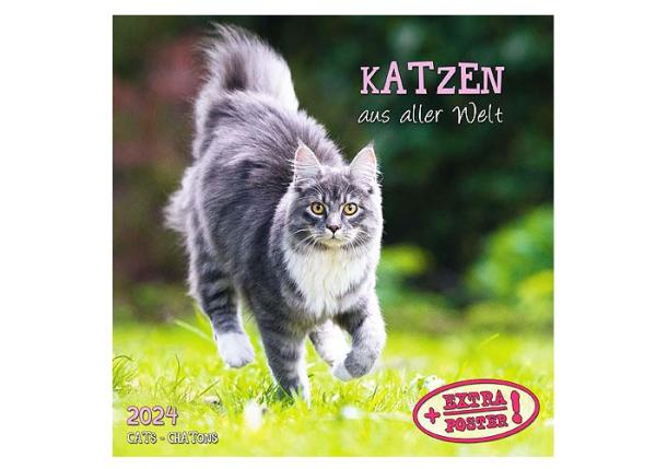 Broschürenkalender 2025, 30 x 60cm, " Katzen" 