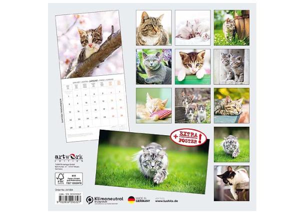 Broschürenkalender 2025, 30 x 60cm, " Katzen"  -ab ca.15.06.2024-