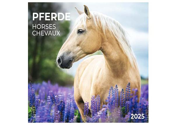 Broschürenkalender 2025, 30 x 60cm, "Pferde" 