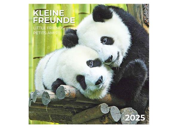 Broschürenkalender 2025, 30 x 60cm, " Kleine Freunde"  -ab ca.15.06.2024-