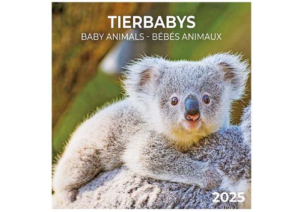 Broschürenkalender 2025, 30x60cm, "Tierbabys" 