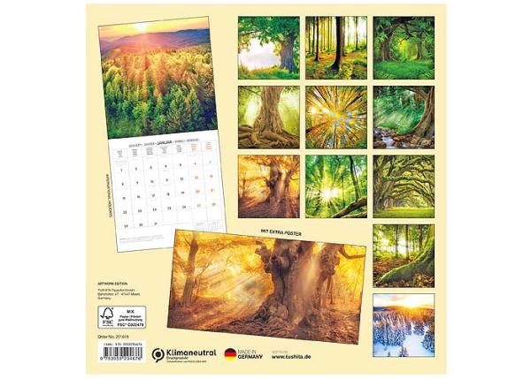 Broschürenkalender 2025, 30x60cm "Unser Wald"